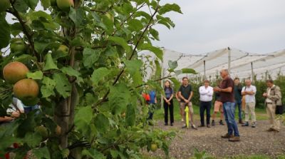 Erste Internationaler Natyra-Tag