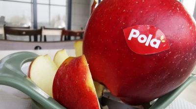 Pola is eerste conceptras in Polen