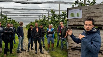 F&ouml;rderung des Fruchtansatzes von S&uuml;&szlig;kirschen