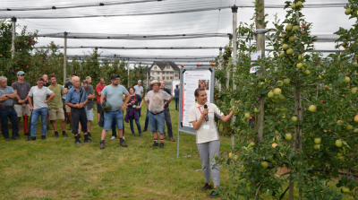 Attention for Wurtwinning and Iori during G&uuml;ttinger-Tagung