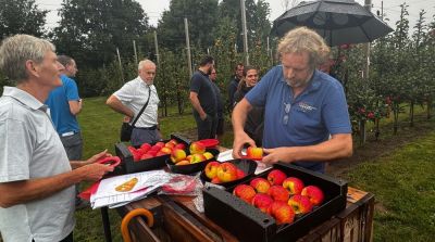 Fresh Forward bringt Wursixo und Wuranda auf den Markt