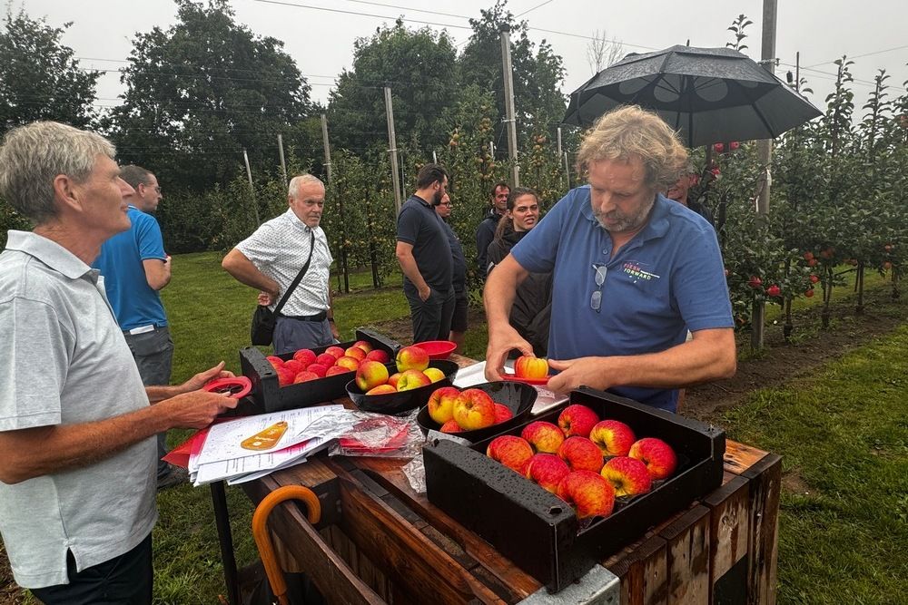 Fresh Forward bringt Wursixo und Wuranda auf den Markt
