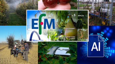 EFM2025-05 now available online