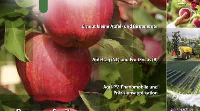 EFM-2025-09-EN