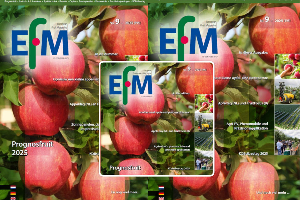 EFM
