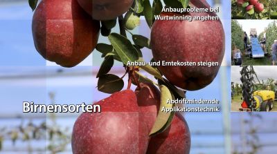 EFM-2025-12-DE
