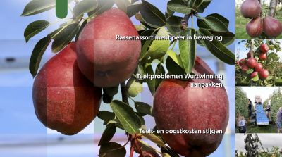 EFM-2025-12-NL