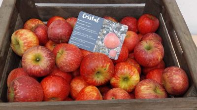 IFO lanceert appelras Cristal