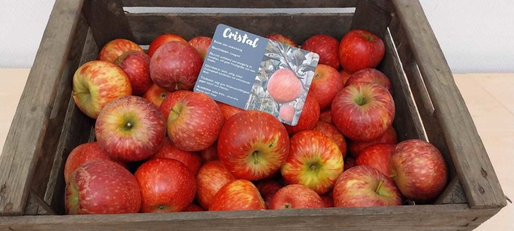 IFO lanceert appelras Cristal