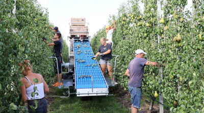 Cultivation and harvesting costs rise to unprecedented levels
