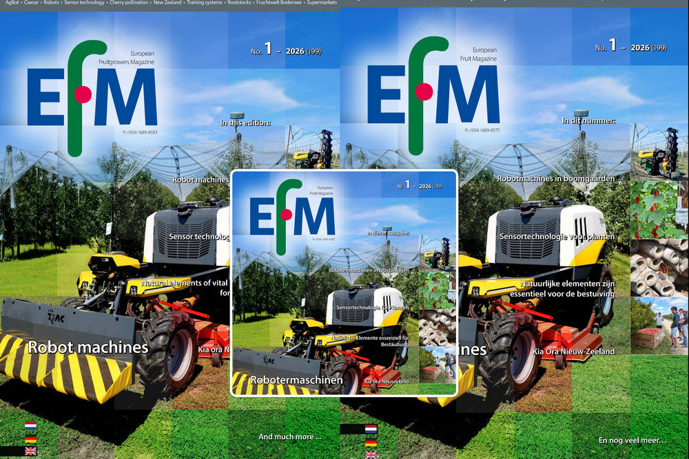 EFM2026-01 now available online