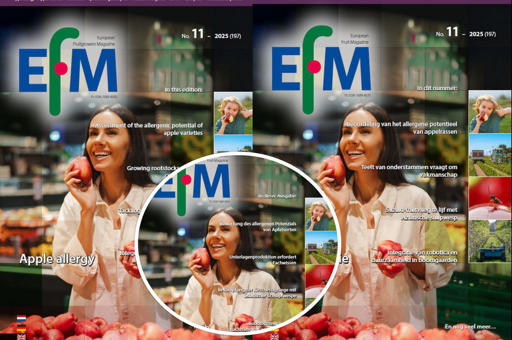 EFM2025-11 nu online beschikbaar