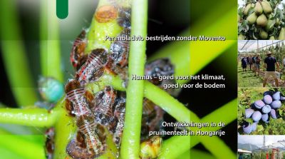 EFM-2026-02-NL