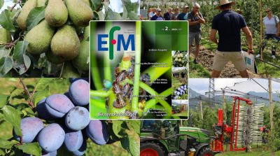 EFM2026-02 jetzt online verf&uuml;gbar