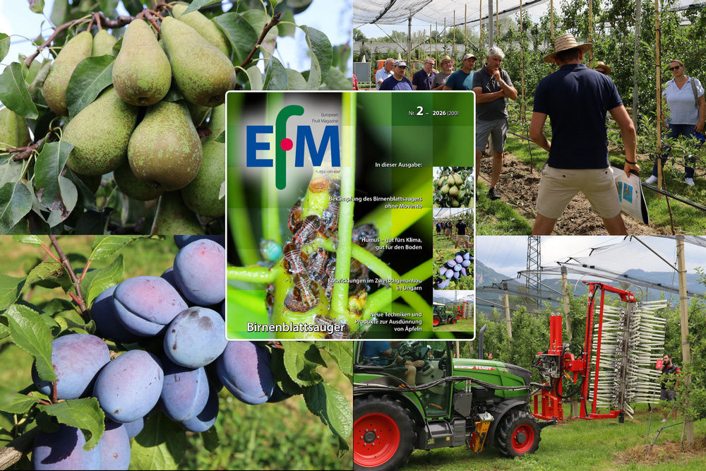 EFM2026-02 jetzt online verf&uuml;gbar