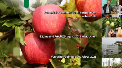 EFM-2026-05-DE