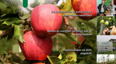 EFM-2026-05-NL