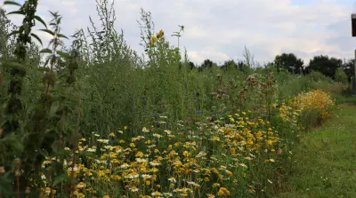 Der Boden &bdquo;merkt&ldquo; sich, welche Pflanzen dort gewachsen sind