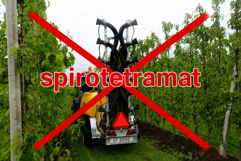Environmental organisations challenge emergency authorisations for spirotetramat