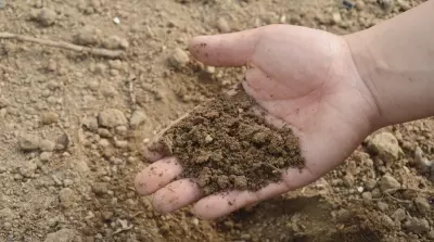 Crop protection products have a greater impact on soil life than expected