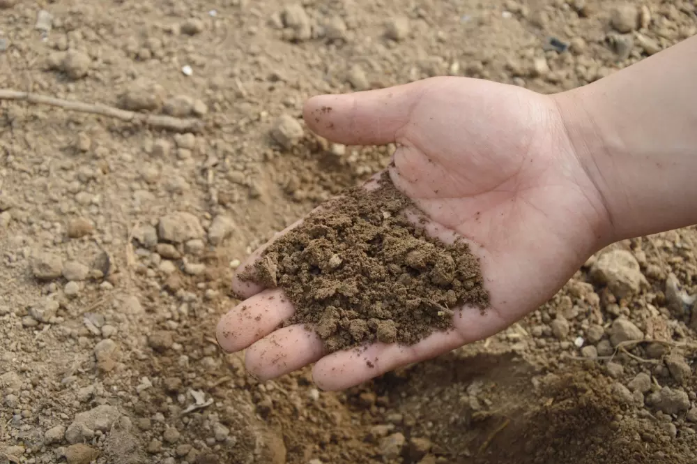 Crop protection products have a greater impact on soil life than expected