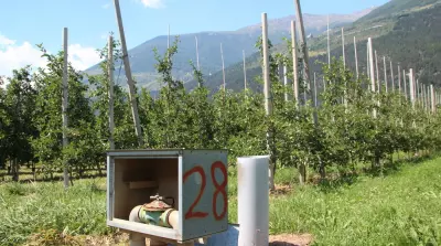 Overhead sprinkler irrigation ban for fruit growers in South Tyrol