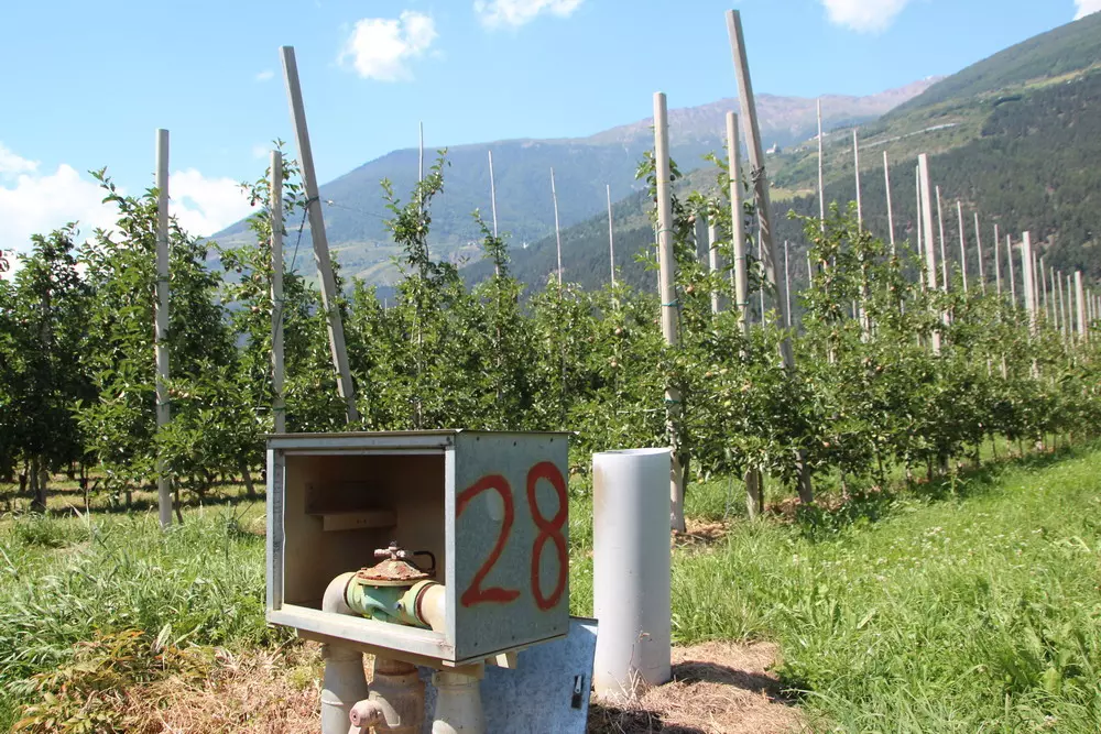 Overhead sprinkler irrigation ban for fruit growers in South Tyrol
