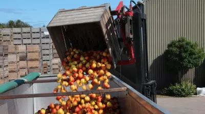 German fruit growers sound the alarm