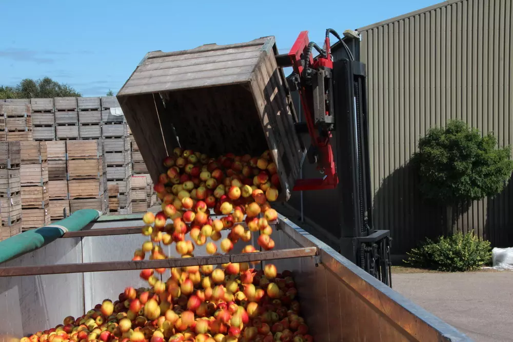 German fruit growers sound the alarm