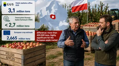 Debate over volume of Polish apple crop