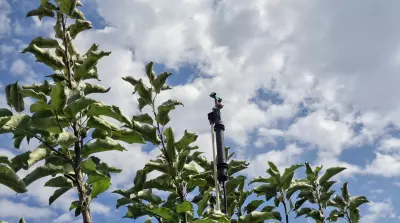 Crop protection and irrigation with S.O.PH.I.A. (video)