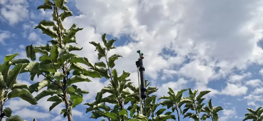 Gewasbescherming en beregening met S.O.PH.I.A. (video)
